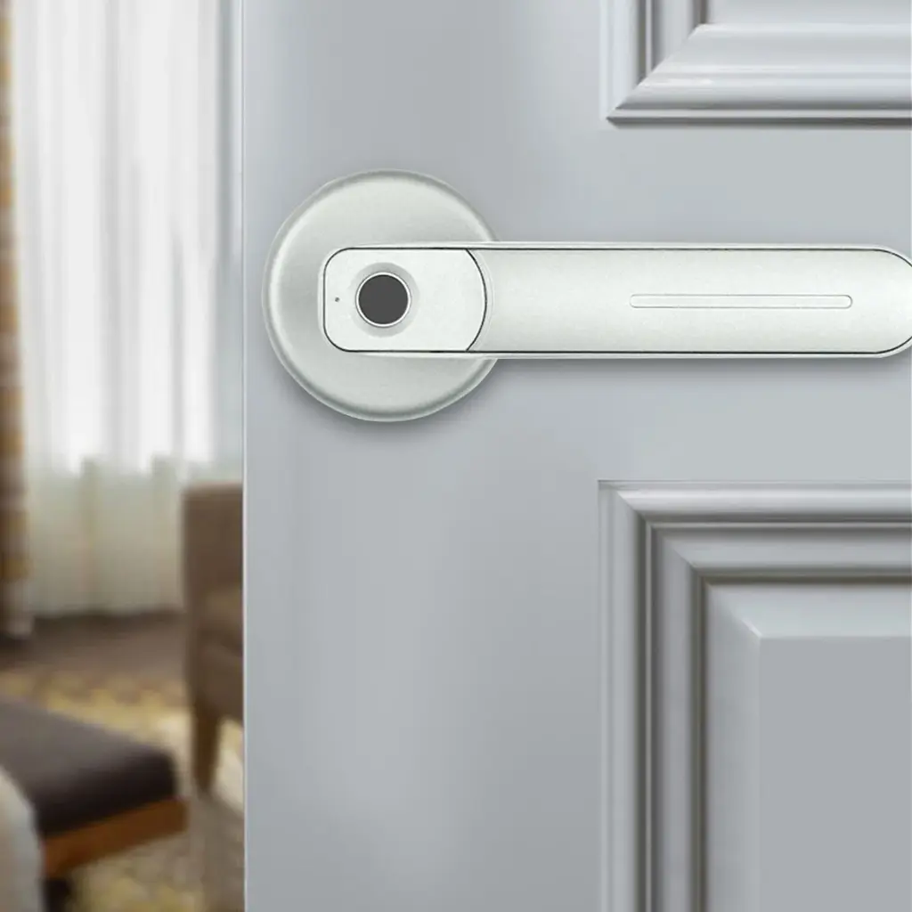 Indoor Ball Lock Smart Lock Home Security Door Fingerprint Lock Office Apartment Electronic Password Lock Open