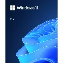 Microsoft Windows 11 Pro 64 bit (USB)